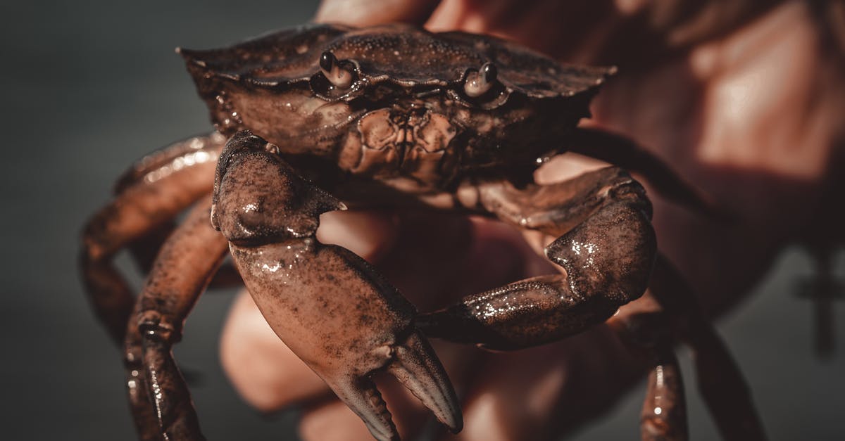 How to best hold wild rice - Crop anonymous person holding wet crab in hand while standing on sea beach at sunset How to best hold wild rice - Crop anonymous person holding wet crab in hand while standing on sea beach at sunset
