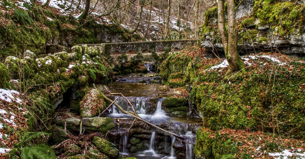 how to brine olives - how cool is cool area to brine them? - Cold stream with rapids in autumn forest how to brine olives - how cool is cool area to brine them? - Cold stream with rapids in autumn forest