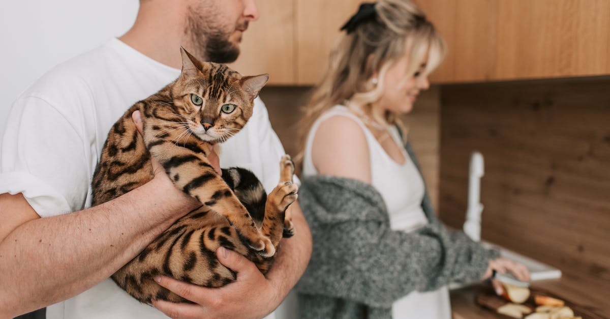 How to carry a knife around a kitchen safely? - Man Carrying a Cat and a Woman Slicing Fruits at the Kitchen How to carry a knife around a kitchen safely? - Man Carrying a Cat and a Woman Slicing Fruits at the Kitchen