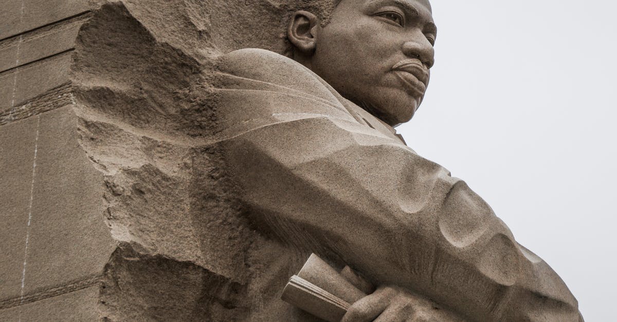 How to carve poultry? - Granite statue of civil rights movement leader against overcast sky How to carve poultry? - Granite statue of civil rights movement leader against overcast sky