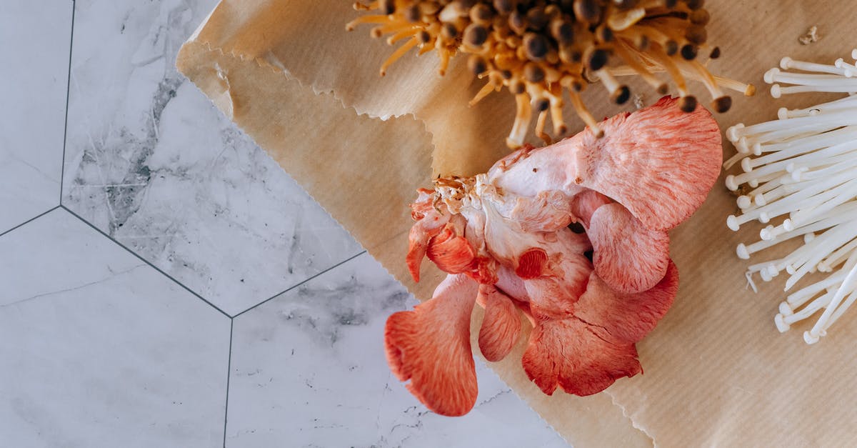 How to clean mushrooms? - Top view of many various exotic mushrooms prepared on paper bag on concrete tile How to clean mushrooms? - Top view of many various exotic mushrooms prepared on paper bag on concrete tile