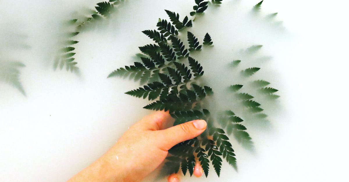 How to clean the rubbery skin from monkfish before cooking? - Person Holding Fern How to clean the rubbery skin from monkfish before cooking? - Person Holding Fern