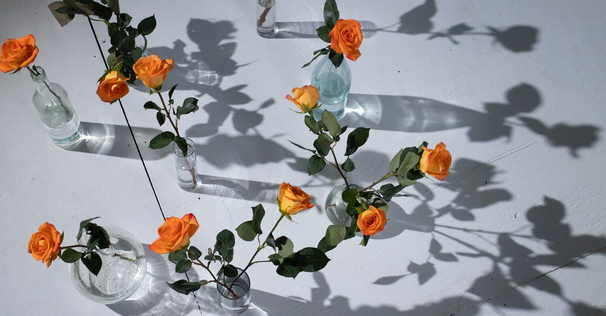 How to clean up the smell of egg from a pot? - Tender orange roses placed in glassware with water How to clean up the smell of egg from a pot? - Tender orange roses placed in glassware with water
