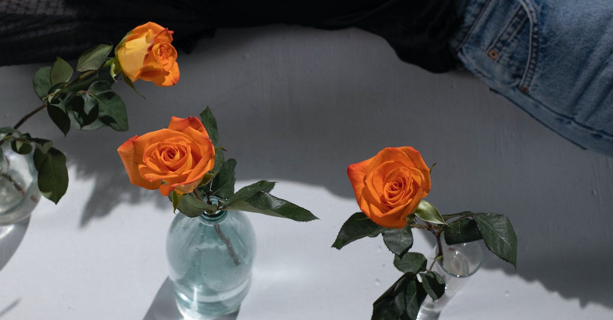 How to clean up the smell of egg from a pot? - From above of crop anonymous female in jeans near orange roses in vases with clean water How to clean up the smell of egg from a pot? - From above of crop anonymous female in jeans near orange roses in vases with clean water