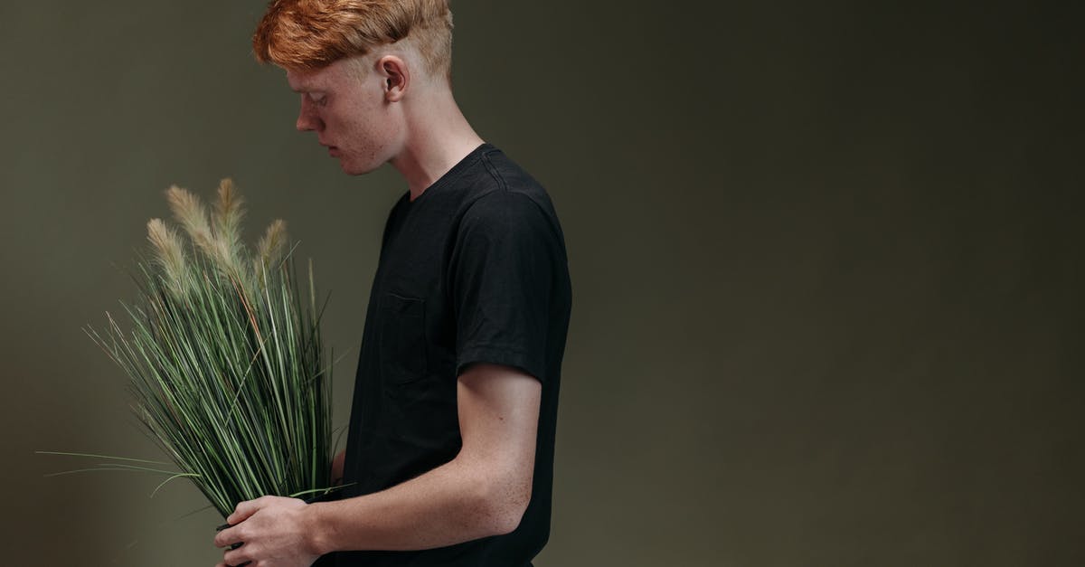 How to clump store-bought granola? - Man in Blue Crew Neck T-shirt Holding Green Plant