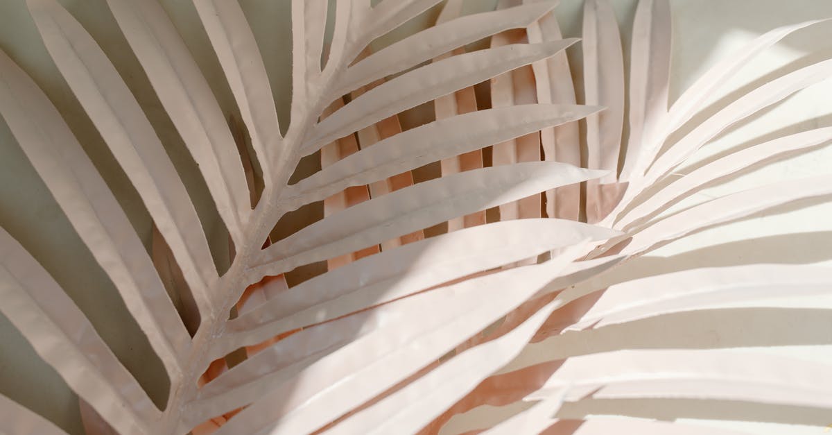 How to decorate extremely fine details - White leaves placed on wall How to decorate extremely fine details - White leaves placed on wall