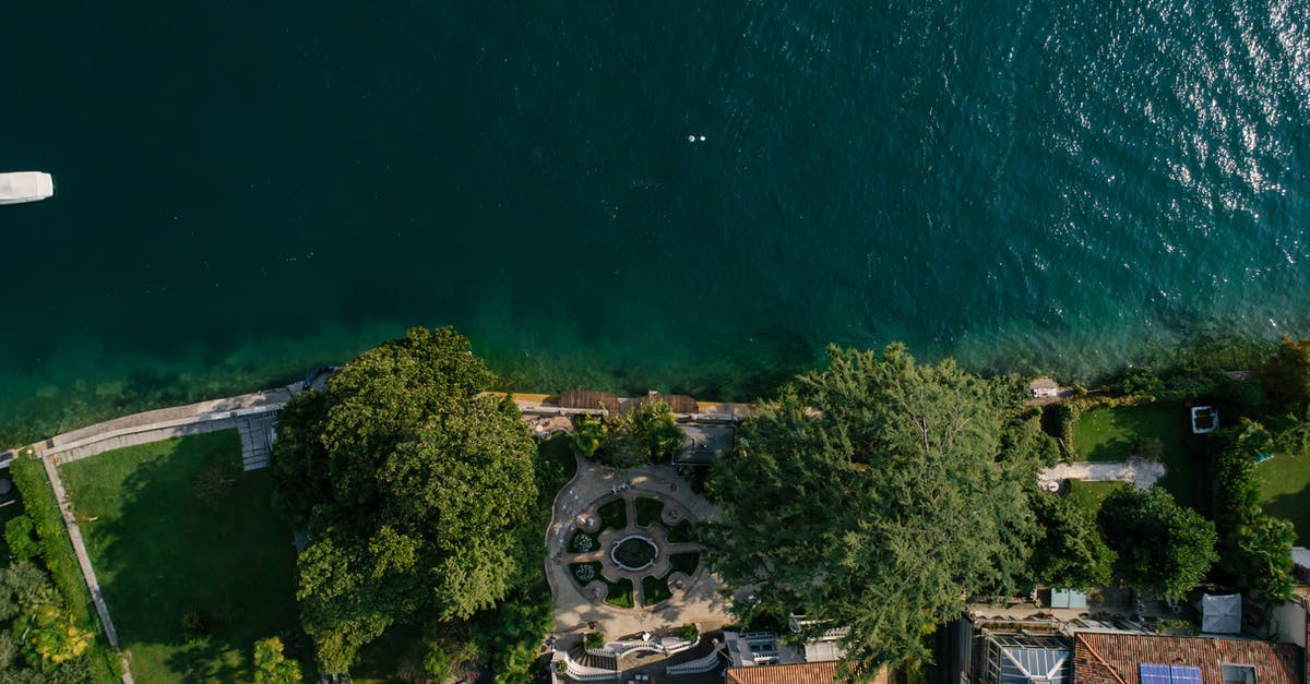 How to deep fry cauliflower? - Aerial View of Houses Near Green Trees How to deep fry cauliflower? - Aerial View of Houses Near Green Trees