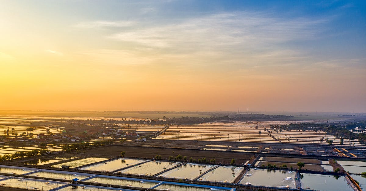 How to differentiate sea prawns from farmed ones? - Fish farm with ponds under colorful sky at sunset