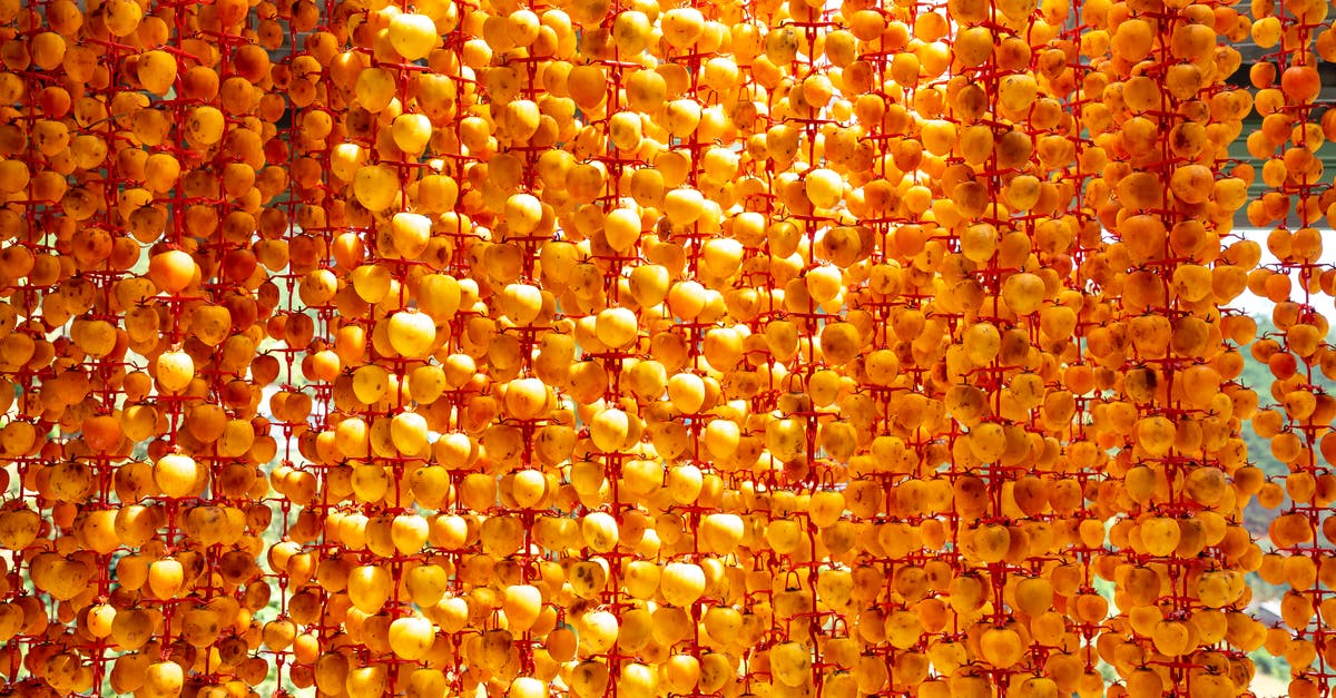 How to dry fruits without sunlight or a dehydrator? - Heap of appetizing ripe orange persimmons hanging on metal construction and drying on sunny day in countryside How to dry fruits without sunlight or a dehydrator? - Heap of appetizing ripe orange persimmons hanging on metal construction and drying on sunny day in countryside