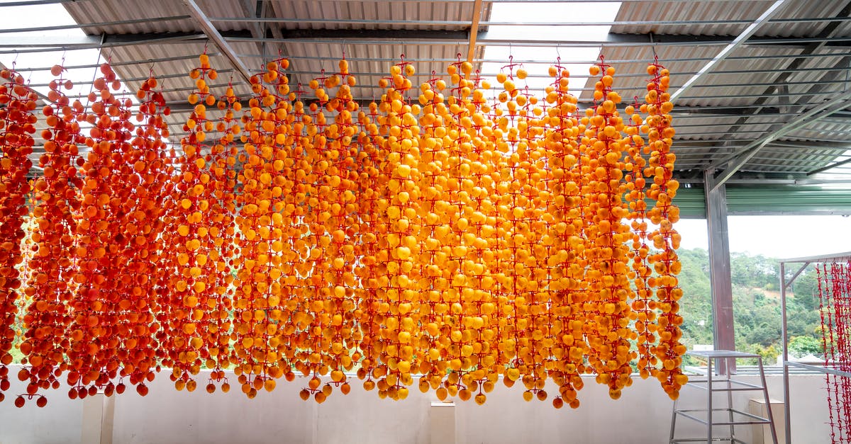 How to dry fruits without sunlight or a dehydrator? - Persimmons hanging on rack while drying in construction How to dry fruits without sunlight or a dehydrator? - Persimmons hanging on rack while drying in construction