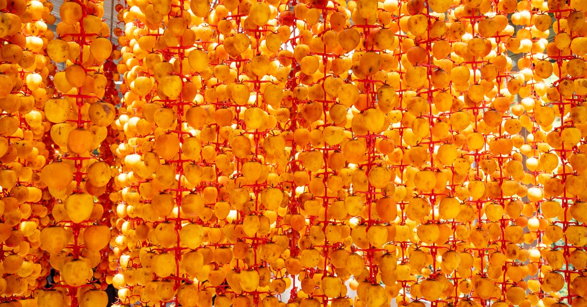 How to dry fruits without sunlight or a dehydrator? - Heap of whole ripe persimmon fruits strung on threads and drying on sunny day How to dry fruits without sunlight or a dehydrator? - Heap of whole ripe persimmon fruits strung on threads and drying on sunny day