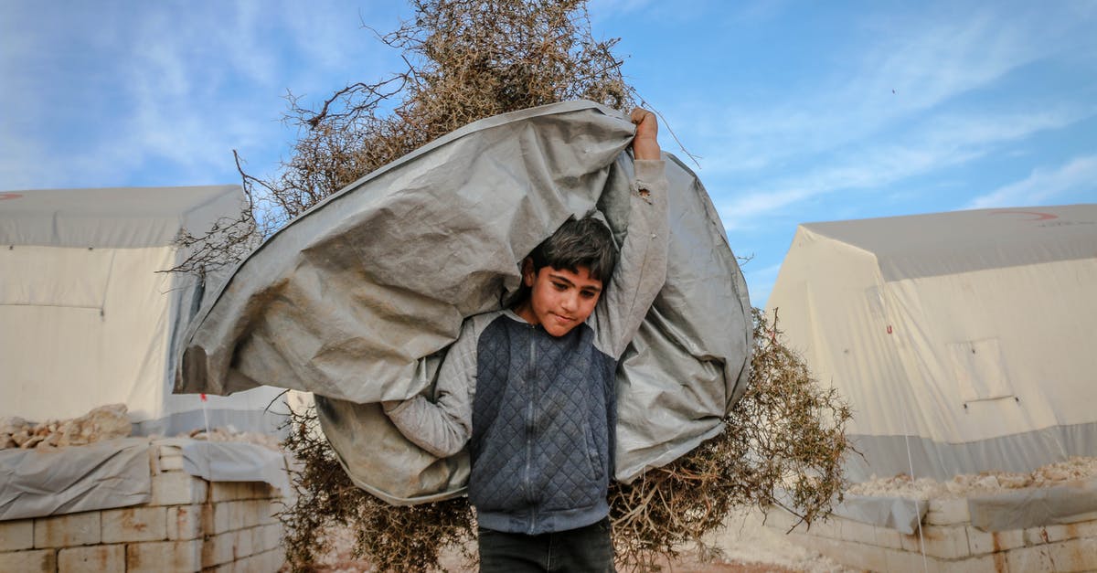 How to dry out rehydrated dried mangos? - Strong ethnic boy carrying dry plants How to dry out rehydrated dried mangos? - Strong ethnic boy carrying dry plants