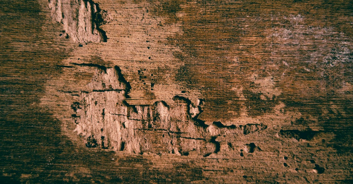 How to dry out rehydrated dried mangos? - Closeup background of textured shabby solid plywood with rough dried surface and small chipped details place don street with sunlight How to dry out rehydrated dried mangos? - Closeup background of textured shabby solid plywood with rough dried surface and small chipped details place don street with sunlight