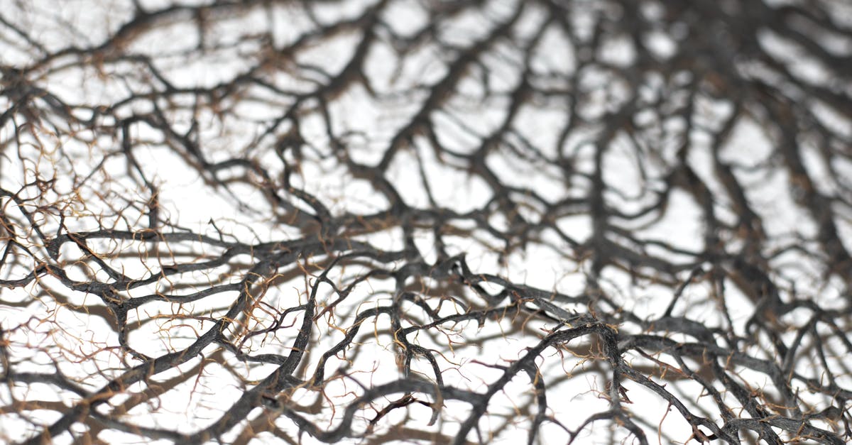 how to extract Glycyrrhizin from liquorice root? - Roots of plant with thin twigs how to extract Glycyrrhizin from liquorice root? - Roots of plant with thin twigs