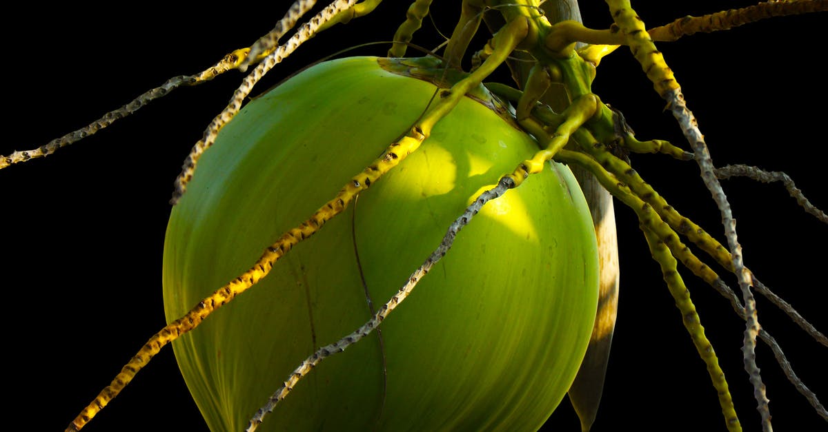 How to get Coco Lopez in Serbia? - Green Coconut Shell How to get Coco Lopez in Serbia? - Green Coconut Shell