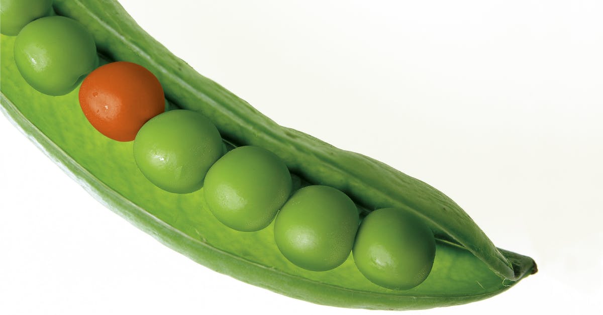 How to get fresh green peas? - Close Up Photography of Green Pea Pod How to get fresh green peas? - Close Up Photography of Green Pea Pod