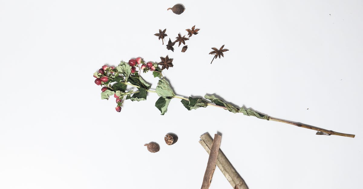 How to get more flavor out of dried herbs? - Top view of hypericum with long green stem and dried leaves near anise and sticks of cinnamon on white background How to get more flavor out of dried herbs? - Top view of hypericum with long green stem and dried leaves near anise and sticks of cinnamon on white background
