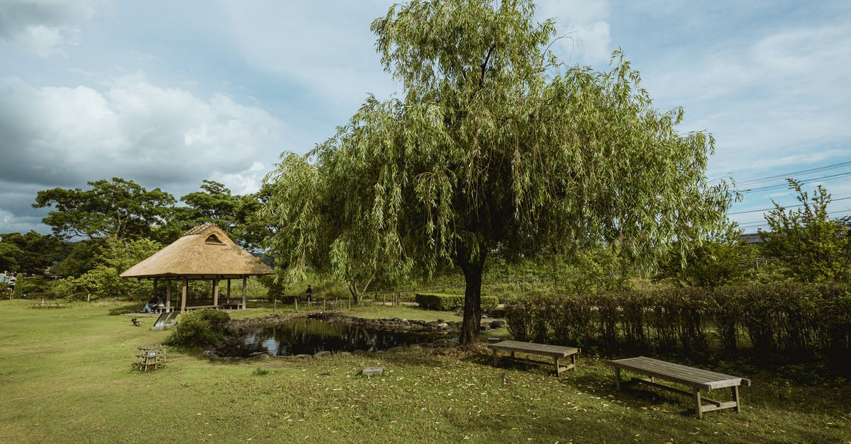 How to grill without an actual grill - Green Trees Near Brown Wooden House Under Blue Sky How to grill without an actual grill - Green Trees Near Brown Wooden House Under Blue Sky