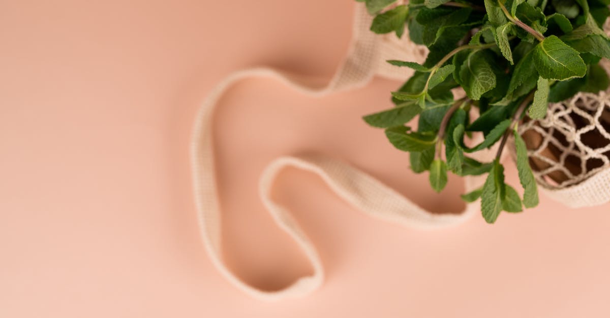 How to handle mango puree going stale in mousse - Top view of aromatic mint leaves with wavy stems in eco friendly bag on pastel background