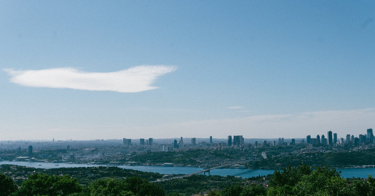 How to identify turkey liver - Green Trees and City Buildings Under Blue Sky How to identify turkey liver - Green Trees and City Buildings Under Blue Sky