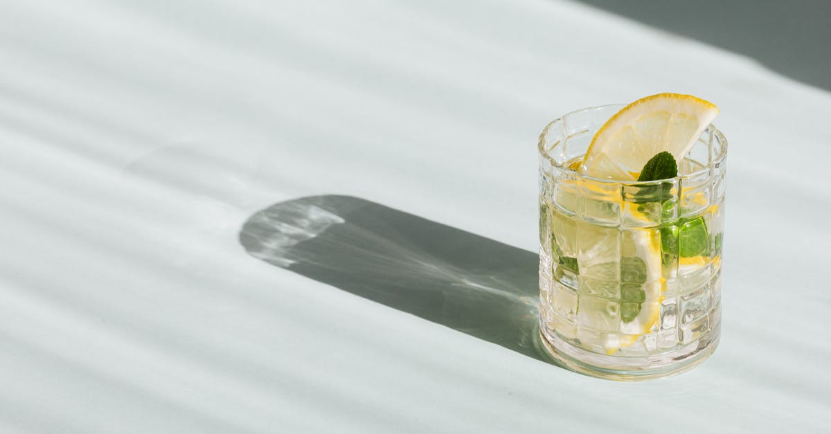 How to infuse flavours in alcohol? - Flat lay of glass of fresh beverage with slices of lemon and leaves of mint placed on white background How to infuse flavours in alcohol? - Flat lay of glass of fresh beverage with slices of lemon and leaves of mint placed on white background