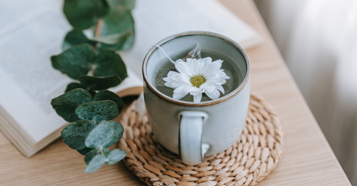 How to make a brewed tea at work? - Green tea with blooming Chrysanthemum near Eucalyptus on table How to make a brewed tea at work? - Green tea with blooming Chrysanthemum near Eucalyptus on table