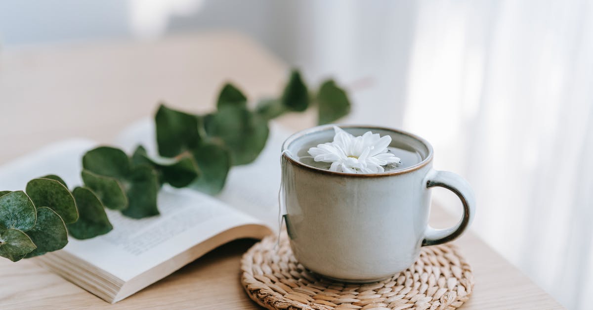 How to make a brewed tea at work? - Green tea in cup with blossoming Chrysanthemum against Eucalyptus How to make a brewed tea at work? - Green tea in cup with blossoming Chrysanthemum against Eucalyptus