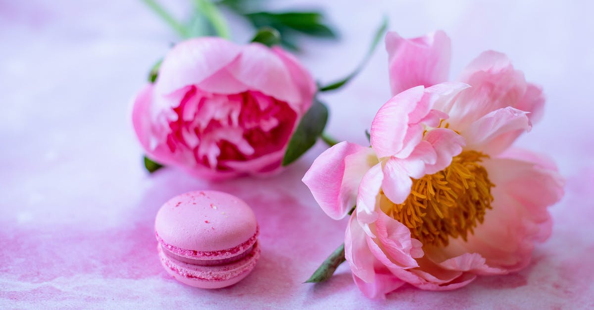 How to make a dessert with dynamically opening flower petals? - Macaroon and flowers on table How to make a dessert with dynamically opening flower petals? - Macaroon and flowers on table