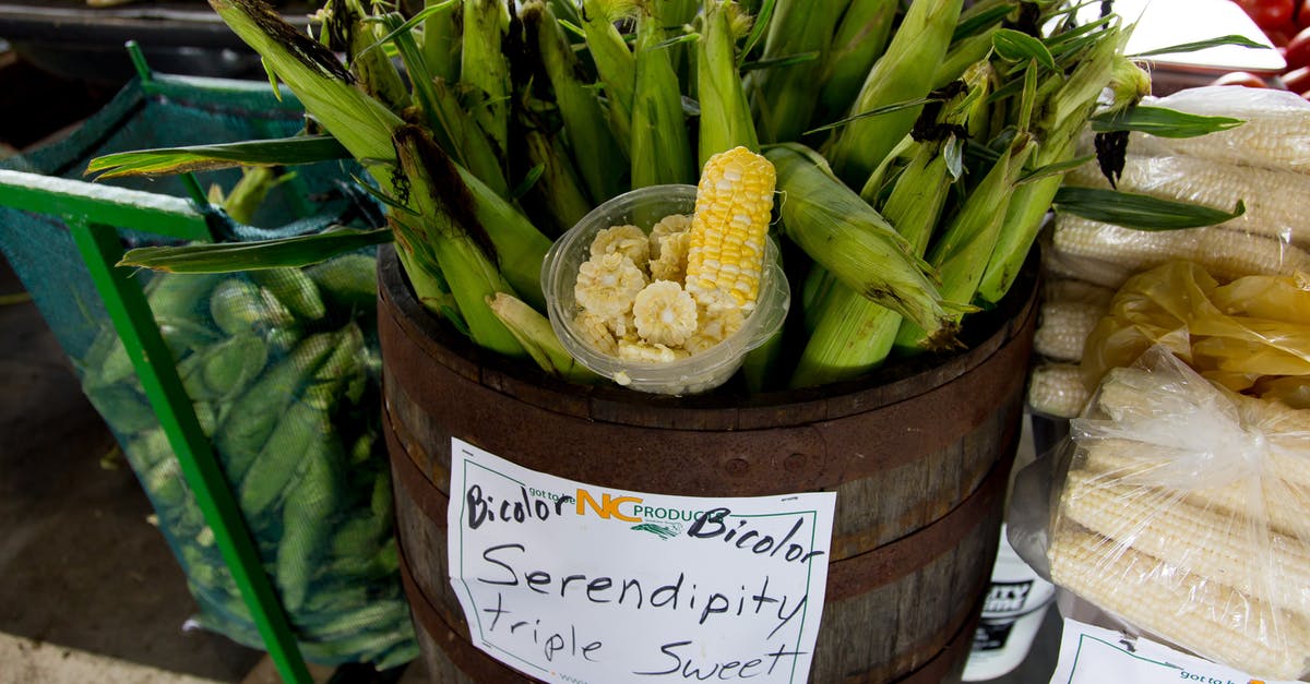 How to make corn nuts from fresh corn on the cob - Serendipity Triple Sweet Corns Inside Barrel How to make corn nuts from fresh corn on the cob - Serendipity Triple Sweet Corns Inside Barrel