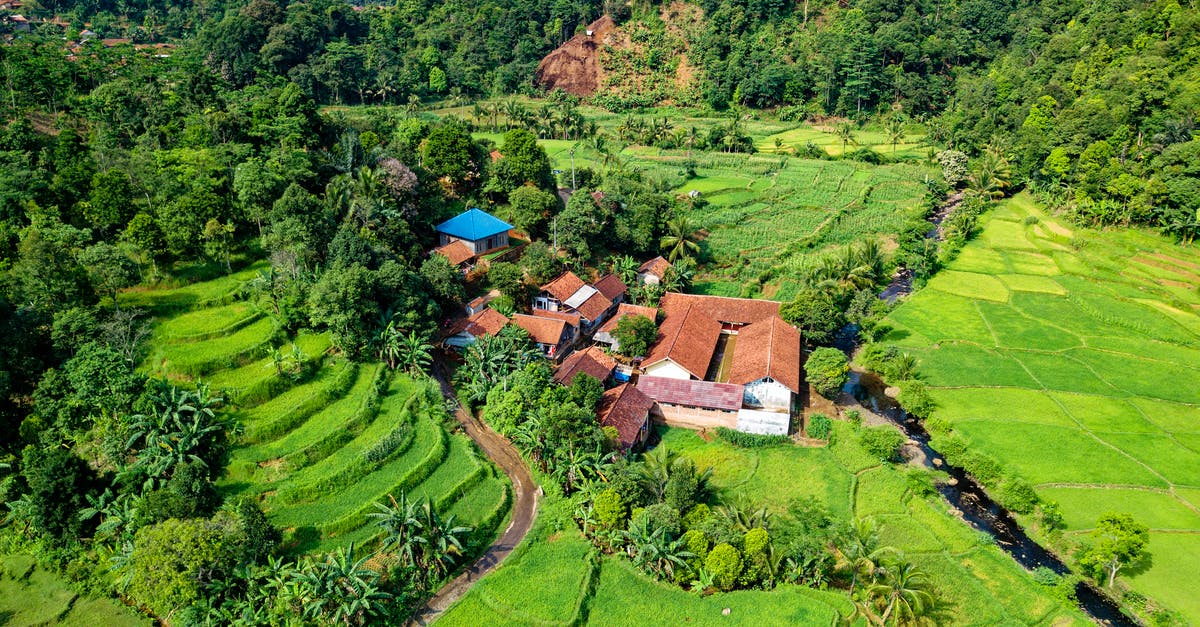 How to make flavoured rice like uncle ben's chinese rice? - Aerial View Photography of Houses How to make flavoured rice like uncle ben's chinese rice? - Aerial View Photography of Houses