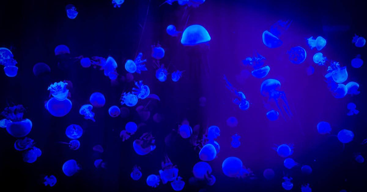 How to make glowing Jello without Tonic Water? - Jelly Fish With Reflection Of Blue Light How to make glowing Jello without Tonic Water? - Jelly Fish With Reflection Of Blue Light