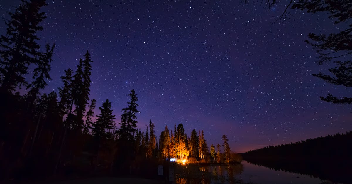 How to make glowing Jello without Tonic Water? - Pine Trees Under Starry Night Sky How to make glowing Jello without Tonic Water? - Pine Trees Under Starry Night Sky