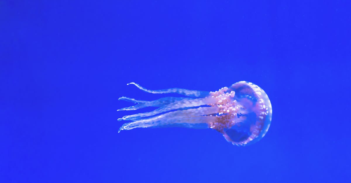 How to make glowing Jello without Tonic Water? - Pink Jellyfish How to make glowing Jello without Tonic Water? - Pink Jellyfish