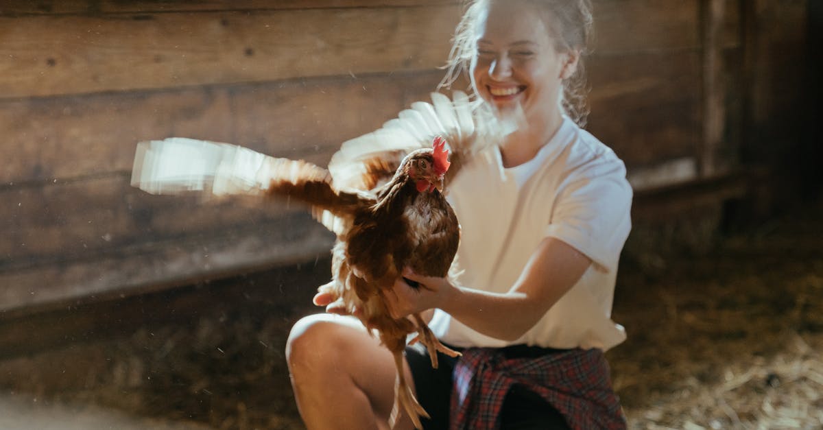 How to make Lebanese chicken wings - Happy Woman Holding a Hen How to make Lebanese chicken wings - Happy Woman Holding a Hen