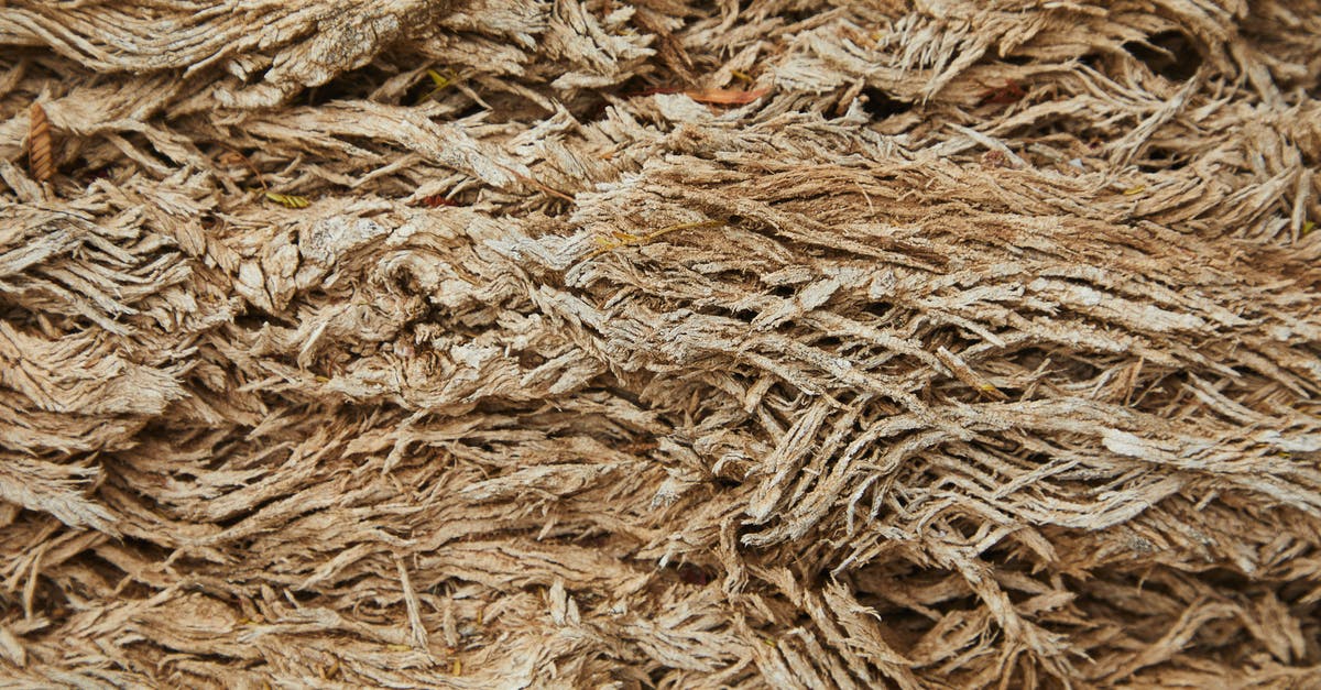How to Make many pizzas for large party? - Pile of dry straw in nature How to Make many pizzas for large party? - Pile of dry straw in nature