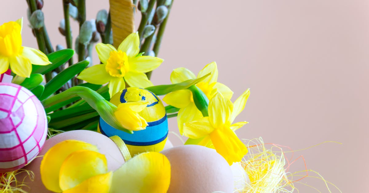 How to make my scrambled eggs more yellow? - Close-up Photography of Yellow Daffodil Flowers How to make my scrambled eggs more yellow? - Close-up Photography of Yellow Daffodil Flowers