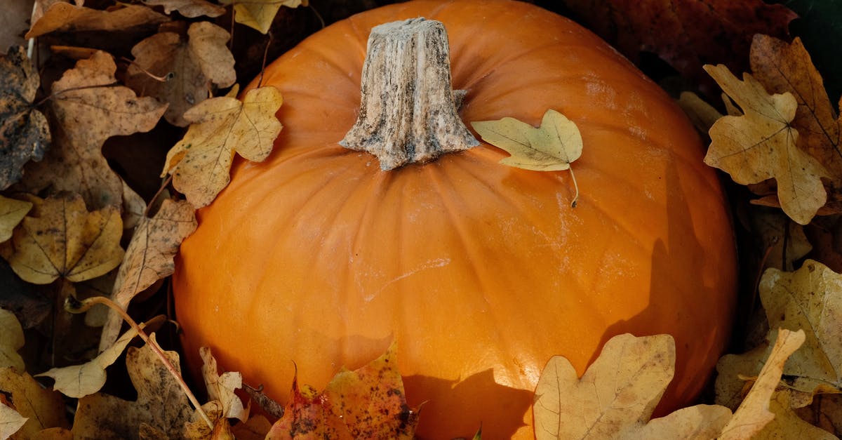How to make pumpkin extract - Orange Pumpkin on Brown Dried Leaves How to make pumpkin extract - Orange Pumpkin on Brown Dried Leaves