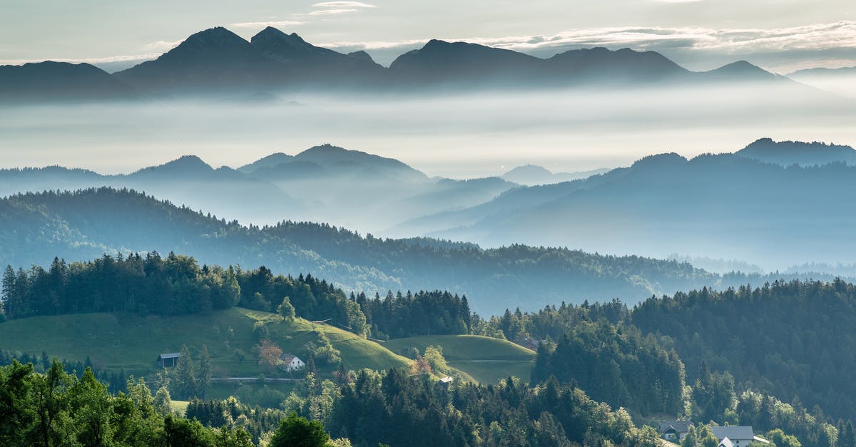 How to make ridge structure of crispy chicken - Mountainous valley with evergreen forest against misty sky How to make ridge structure of crispy chicken - Mountainous valley with evergreen forest against misty sky