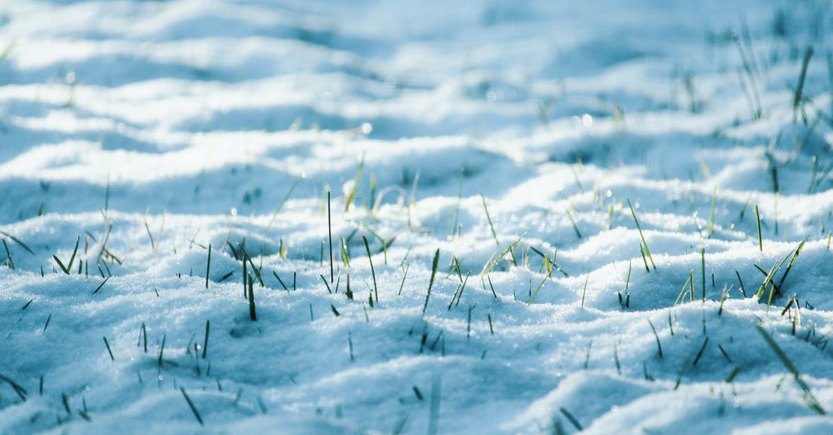How to make sorbet have a snowy texture? - Close-Up Photo of Snow