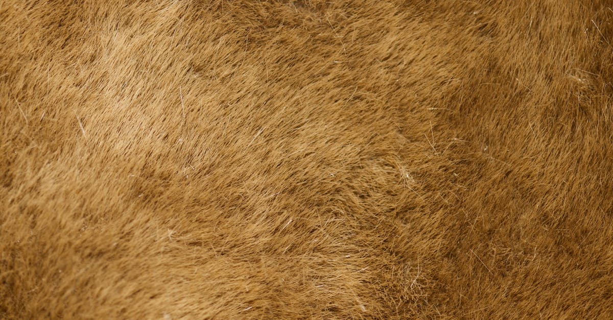 How to make thick and fluffy pancakes? - Brown Thick Fur How to make thick and fluffy pancakes? - Brown Thick Fur