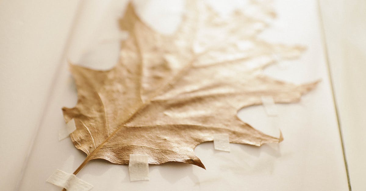 How to make your own maple extract? - Brown Dried Leaf How to make your own maple extract? - Brown Dried Leaf