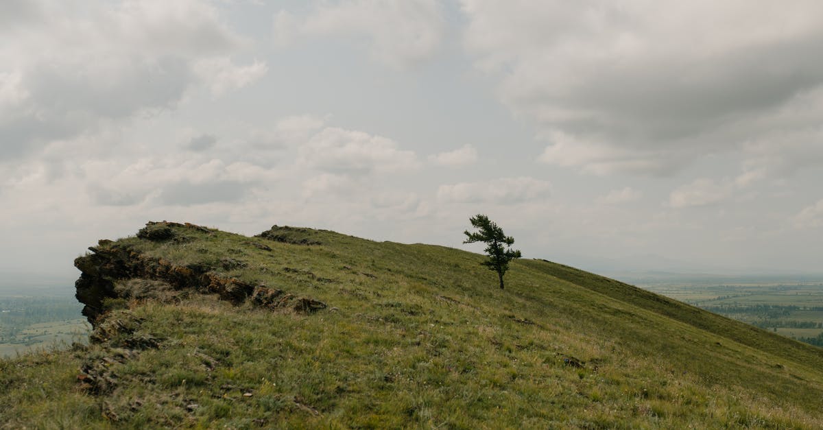 How to mount a ham? - Lonely tree on green mount under cloudy sky How to mount a ham? - Lonely tree on green mount under cloudy sky