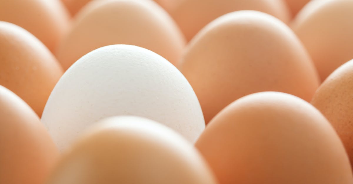 How to properly brown cut-up chicken breast pieces? - Background of whole chicken eggs in rows How to properly brown cut-up chicken breast pieces? - Background of whole chicken eggs in rows