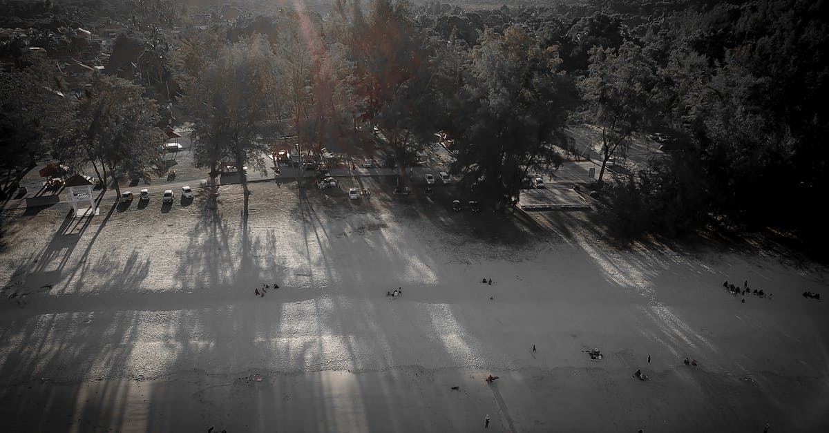 How to remove commercial seasoning from skillet? - Drone view of peaceful sandy beach with cars on parking and trees against picturesque rocky mountains in morning How to remove commercial seasoning from skillet? - Drone view of peaceful sandy beach with cars on parking and trees against picturesque rocky mountains in morning
