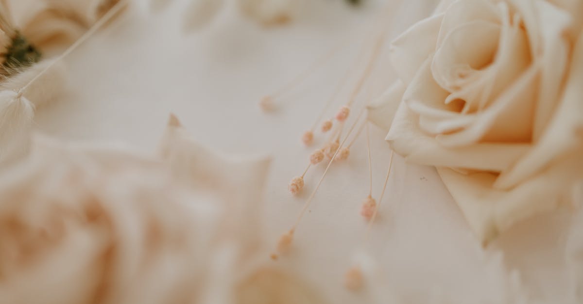 How to remove stem bits from dried rosemary - From above of blossoming roses with thin stems of dry plant prepared for making wedding floral decoration