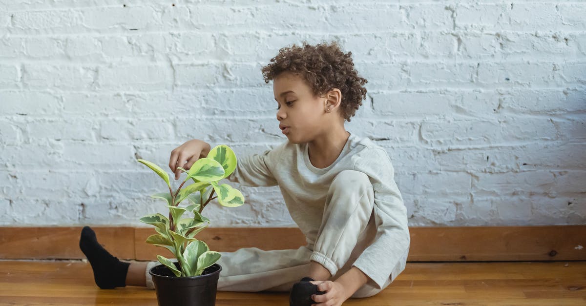 How to replicate Cerelac at home? - Calm black boy with flowerpot How to replicate Cerelac at home? - Calm black boy with flowerpot