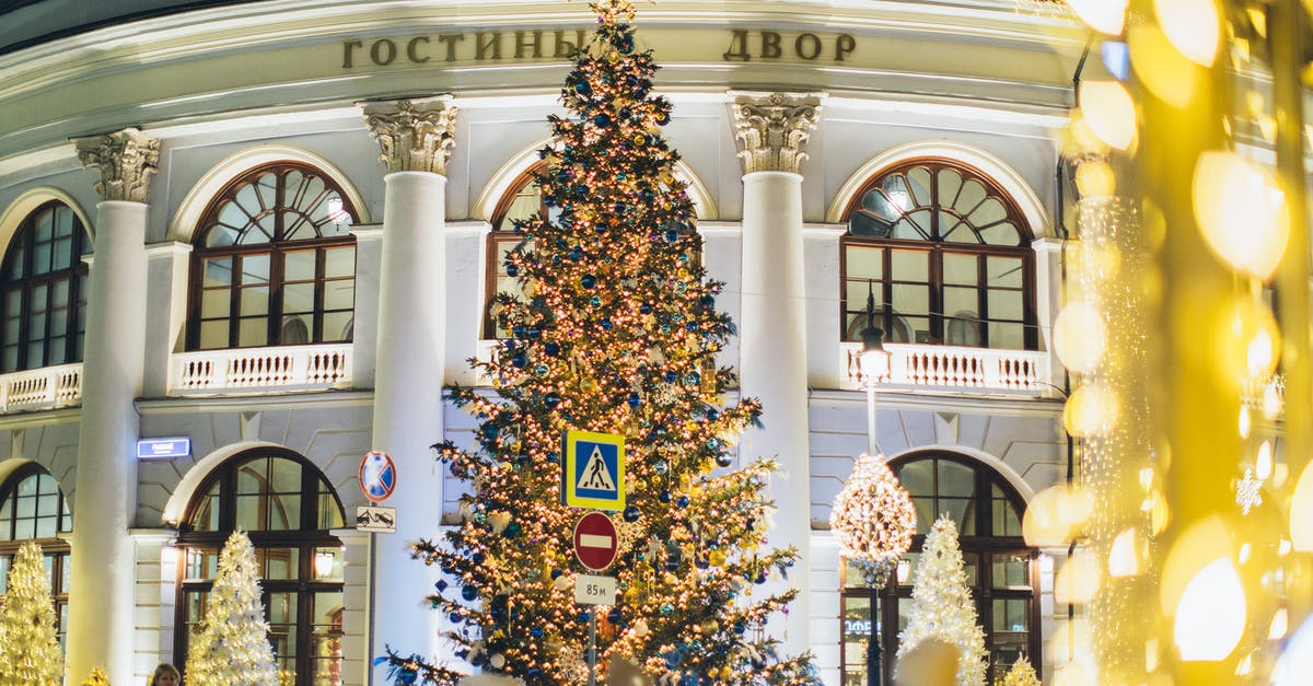 How to season a giant cast iron cider press? - Low angle of decorated Christmas tree with blue and golden toys and glowing lamps on street against exterior of old building in evening city How to season a giant cast iron cider press? - Low angle of decorated Christmas tree with blue and golden toys and glowing lamps on street against exterior of old building in evening city