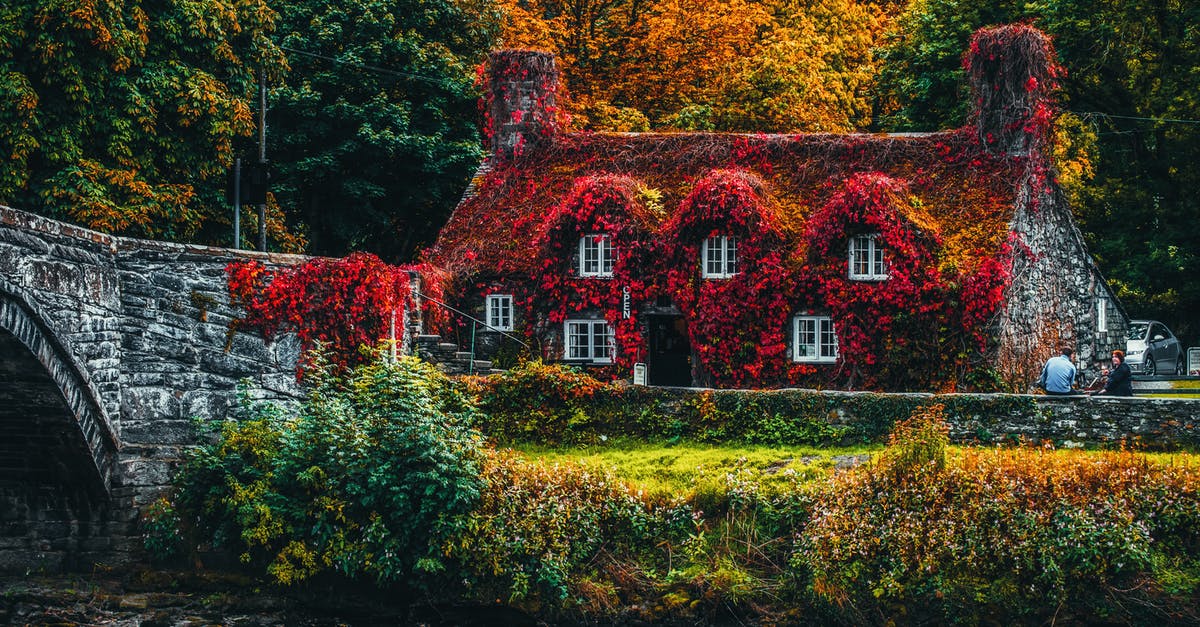 How to season home-made cheese? - House Covered With Red Flowering Plant How to season home-made cheese? - House Covered With Red Flowering Plant