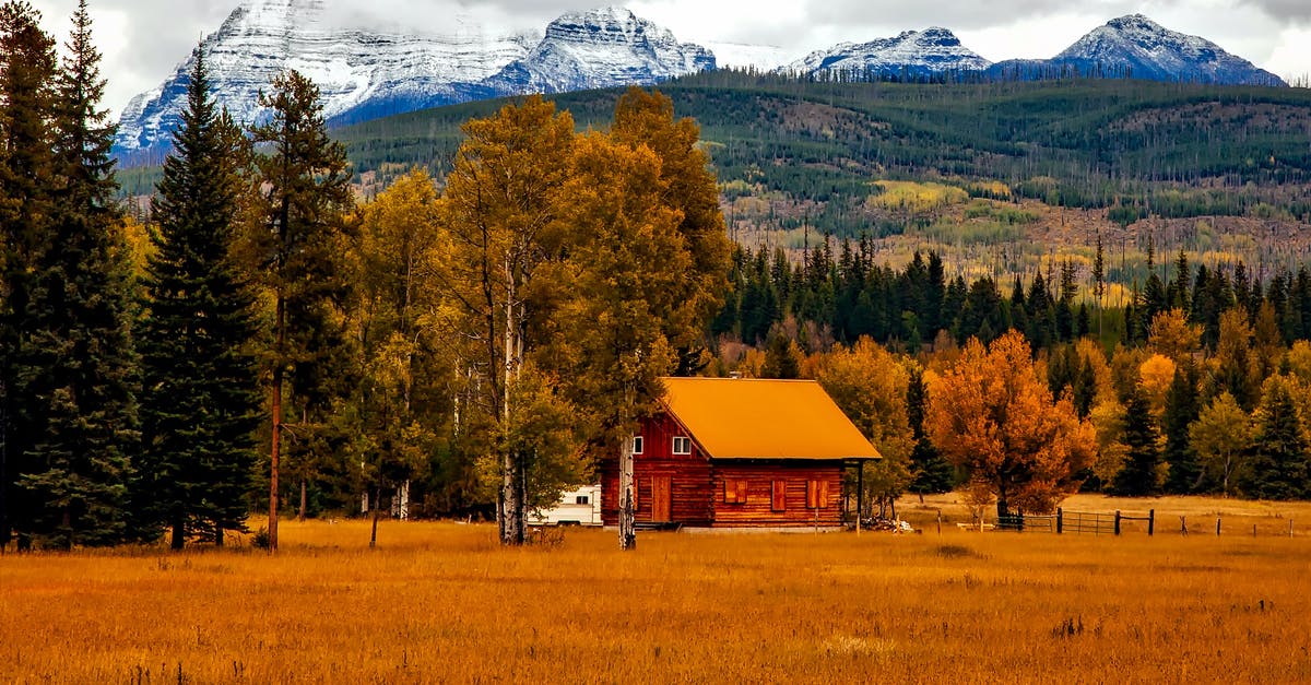 How to season home-made cheese? - Brown Cabin Near Trees and Mountains How to season home-made cheese? - Brown Cabin Near Trees and Mountains