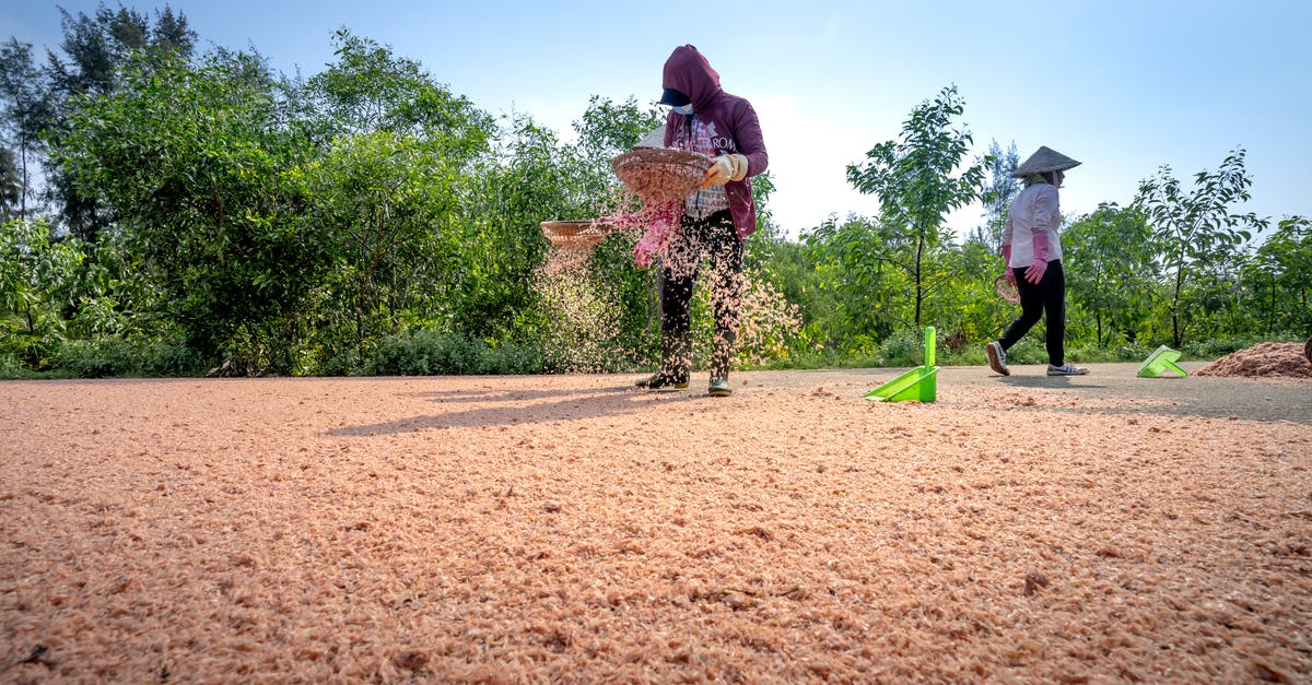 How to separate milk kefir grains? - Anonymous ethnic women with bamboo trays sifting cereal in sunlight